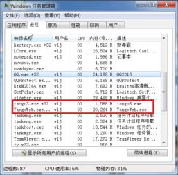 糖果瀏覽器在Windows任務(wù)管理器中的進(jìn)程標(biāo)識(shí)